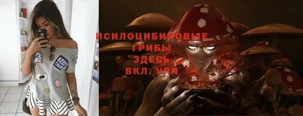 дурь Бородино