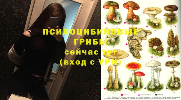 дурь Бронницы